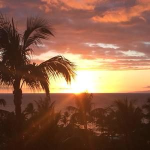 Meet your Posher, Ken